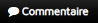 commentaire2 - Copie.PNG